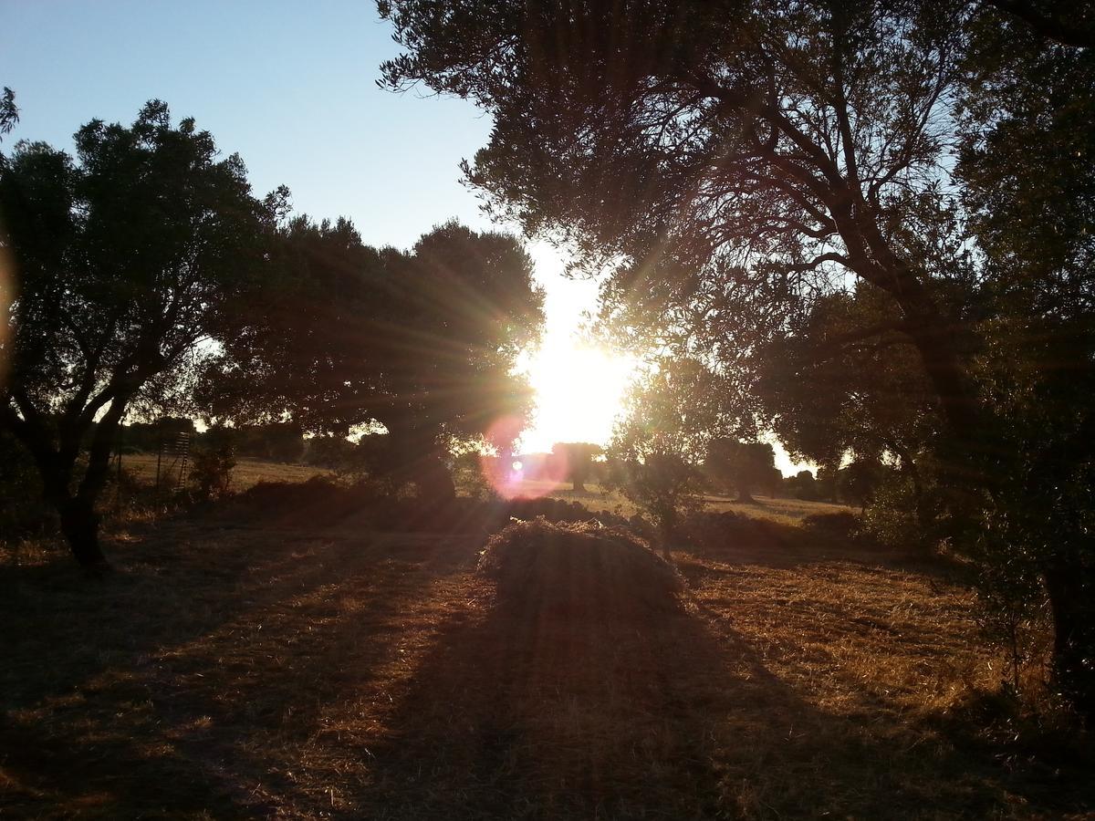 The Proud Garden Bed and Breakfast Carovigno Εξωτερικό φωτογραφία