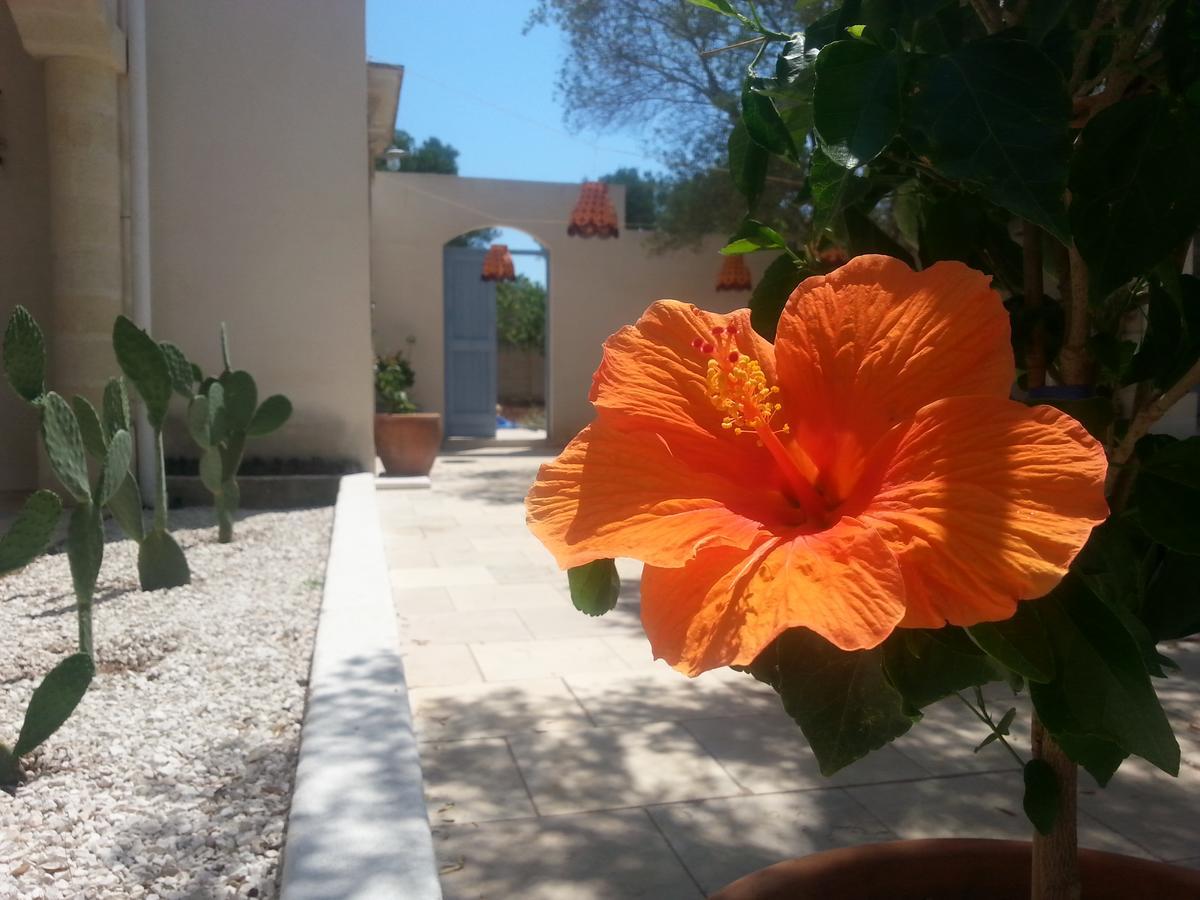 The Proud Garden Bed and Breakfast Carovigno Εξωτερικό φωτογραφία