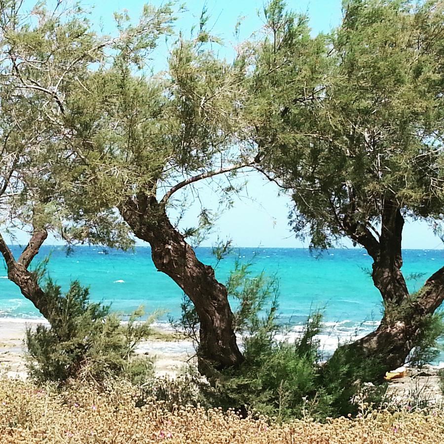 The Proud Garden Bed and Breakfast Carovigno Εξωτερικό φωτογραφία
