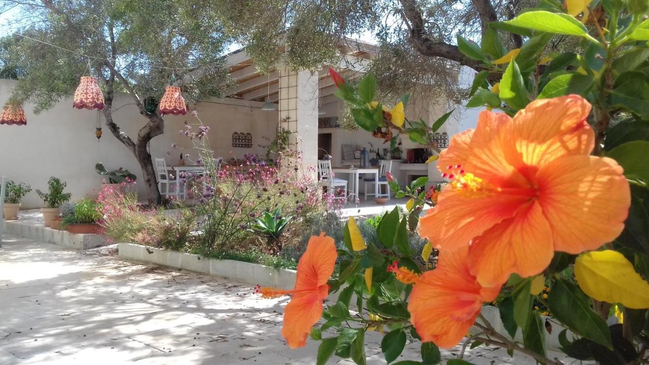 The Proud Garden Bed and Breakfast Carovigno Εξωτερικό φωτογραφία