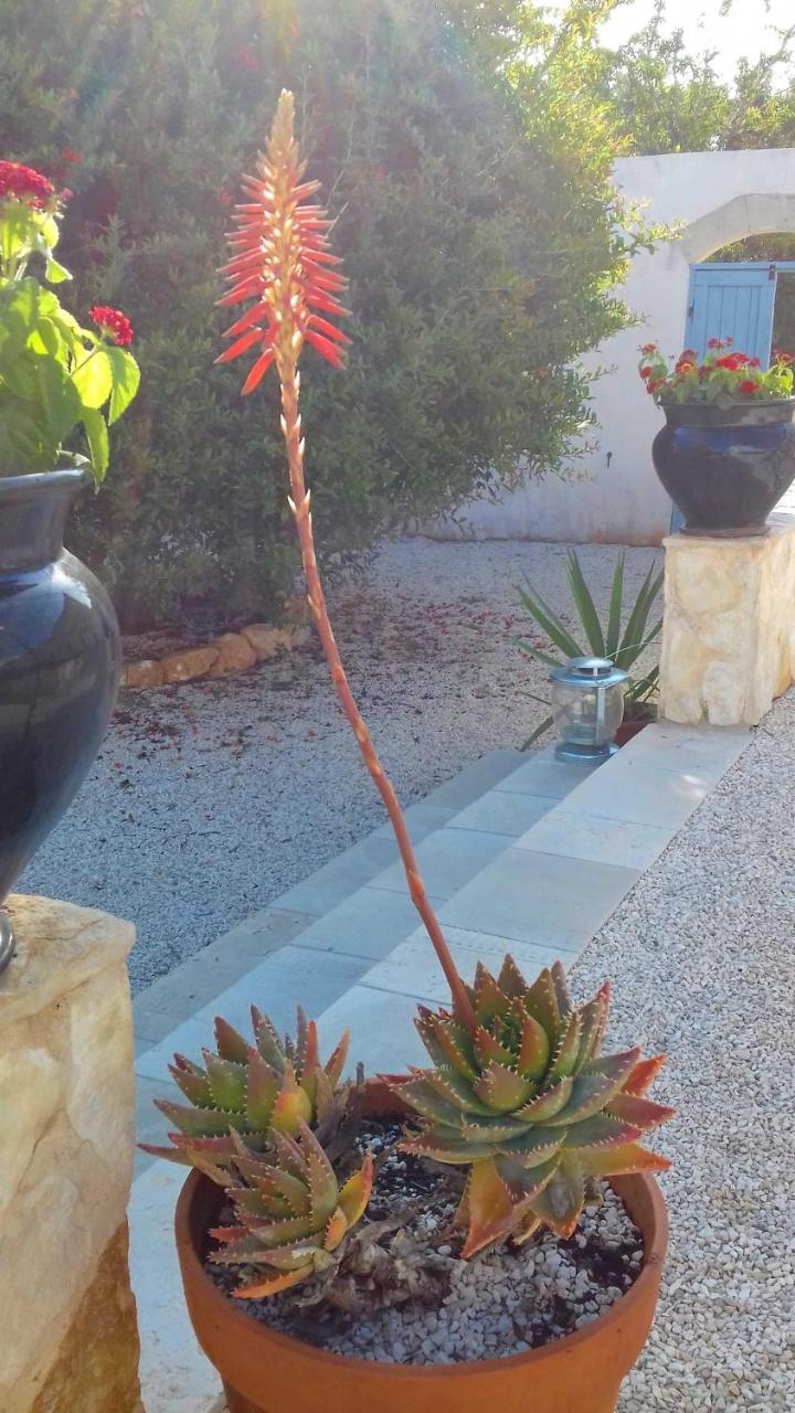 The Proud Garden Bed and Breakfast Carovigno Εξωτερικό φωτογραφία