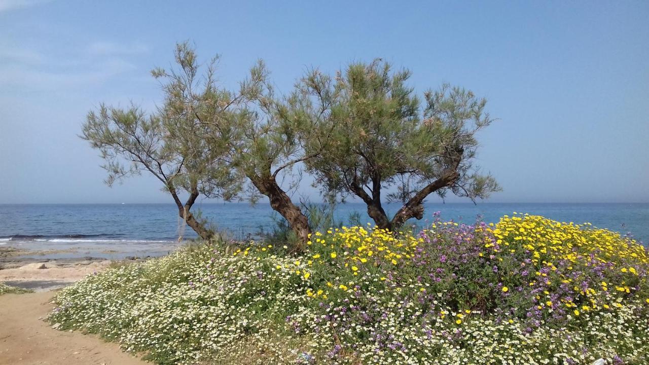 The Proud Garden Bed and Breakfast Carovigno Εξωτερικό φωτογραφία